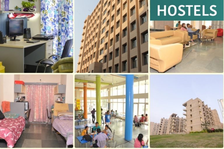 hostel business plan in india